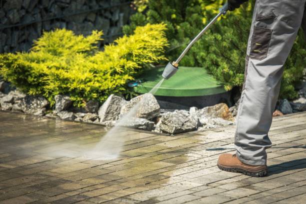 Best Driveway Pressure Washing  in South Gull Lake, MI
